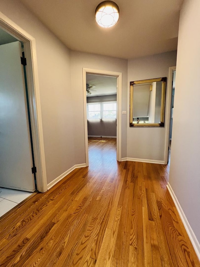 189 Ambleside Rd, Des Plaines, IL 60016 - hallway with wood finished floors and baseboards