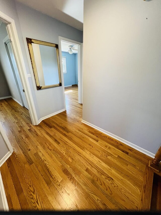 189 Ambleside Rd, Des Plaines, IL 60016 - hall with wood finished floors