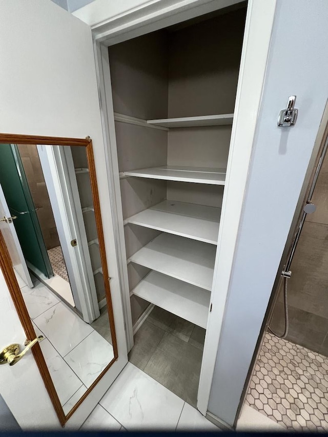 189 Ambleside Rd, Des Plaines, IL 60016 - view of closet