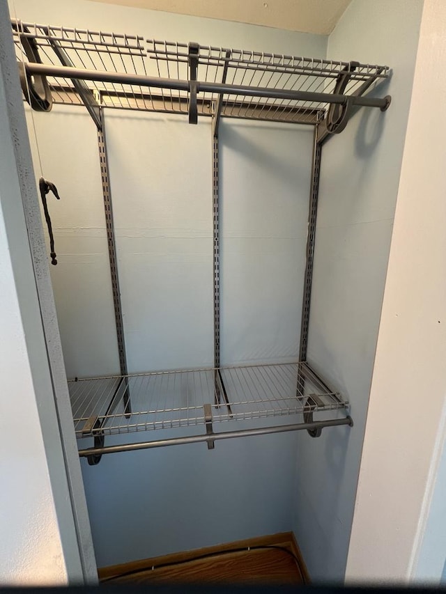 189 Ambleside Rd, Des Plaines, IL 60016 - view of walk in closet