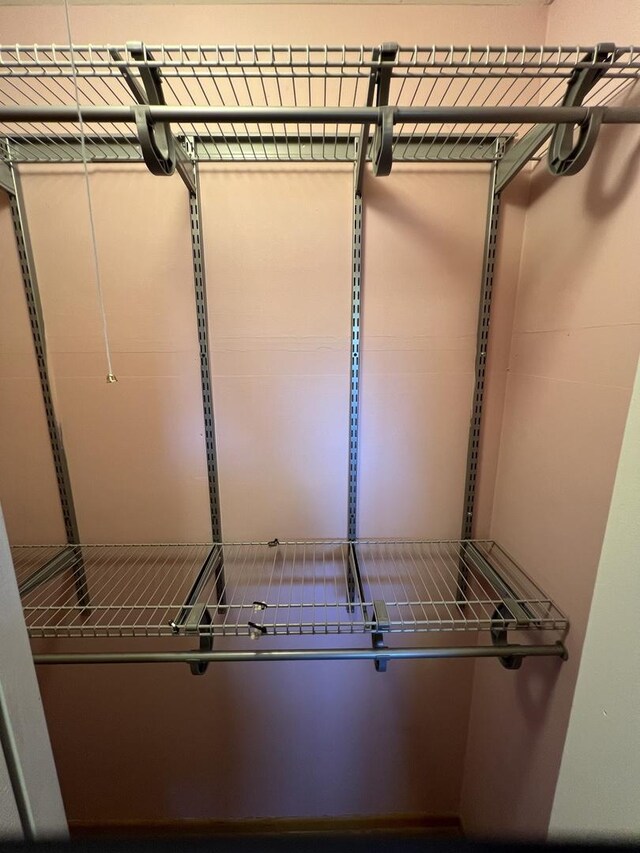 189 Ambleside Rd, Des Plaines, IL 60016 - view of spacious closet