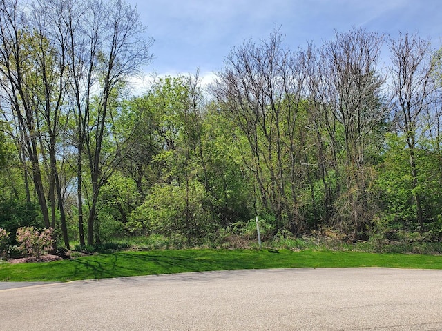 16149 Scenic Ct, Wadsworth, IL 60083