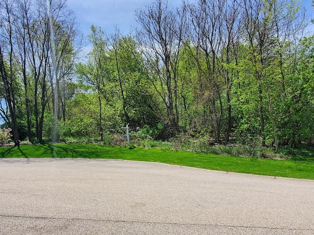 16149 Scenic Ct, Wadsworth, IL 60083