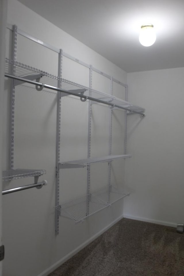 1098 Clover Hill Ln, Elgin, IL 60120 - spacious closet with carpet