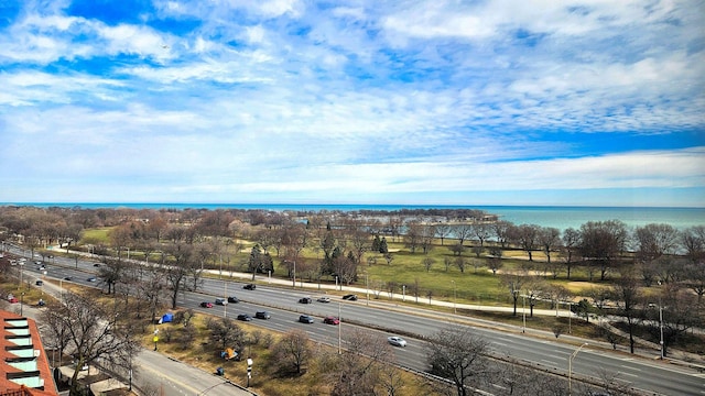 3950 N Lake Shore Dr Unit 1202, Chicago, IL 60613 - photo 32