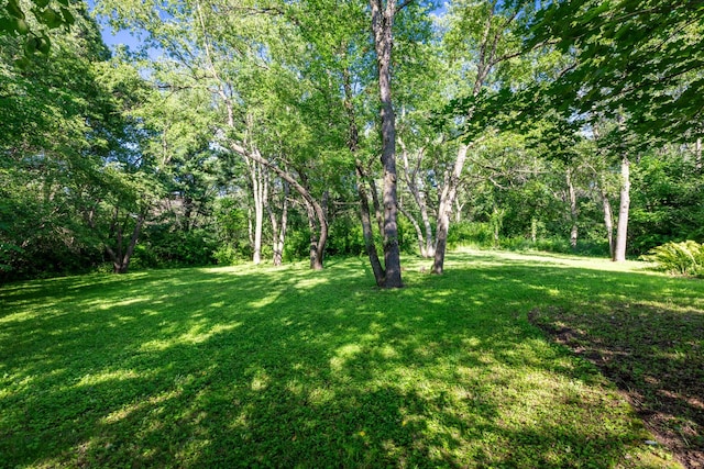 318 N Rose Farm Rd, Woodstock, IL 60098 - photo 63