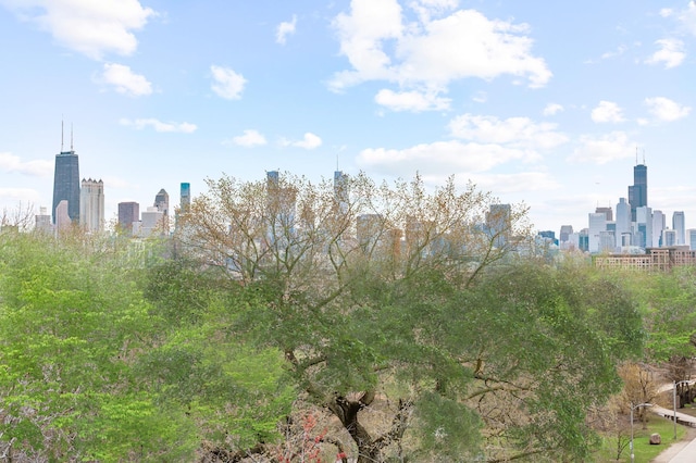 2218 N Burling St Unit Ph, Chicago, IL 60614 - photo 47