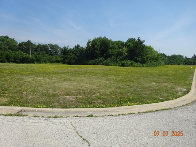 2904 Delphi Ct, Olympia Fields, IL 60461