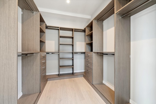 116 N Willard Ct Unit 301, Chicago, IL 60607 - spacious closet with light wood-type flooring