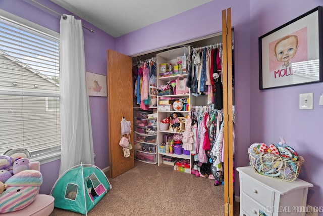 1211 Hall St, Sugar Grove, IL 60554 - recreation room featuring carpet