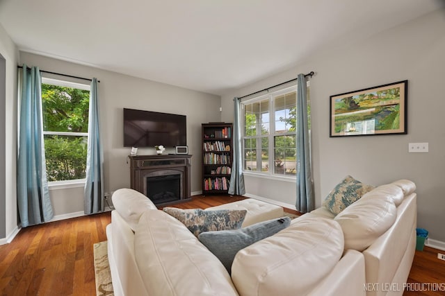 1211 Hall St, Sugar Grove, IL 60554 - living area featuring a fireplace, healthy amount of natural light, and wood finished floors