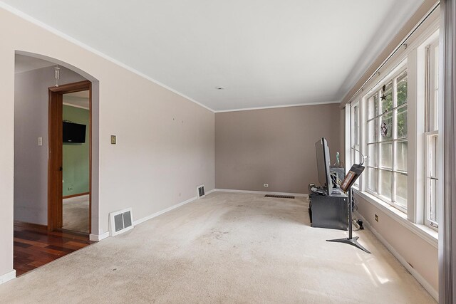 3334 W 114th St, Chicago, IL 60655 - workout area featuring carpet flooring, ornamental molding, and arched walkways