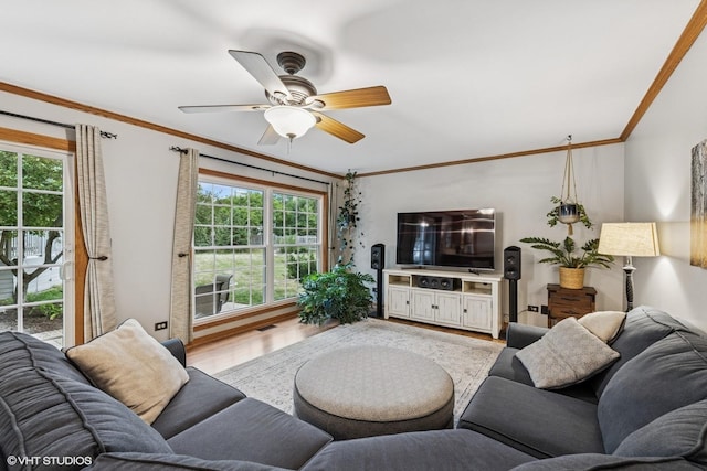 732 Green Castle Ct, West Dundee, IL 60118 - living area with wood finished floors, crown molding, plenty of natural light, and a ceiling fan