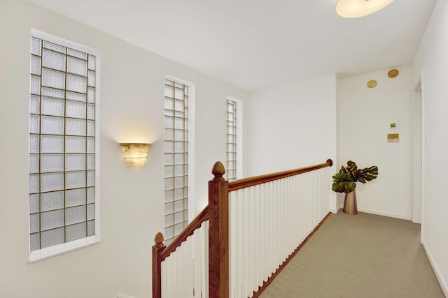 826 S Bell Ave, Chicago, IL 60612 - hallway with an upstairs landing and carpet floors