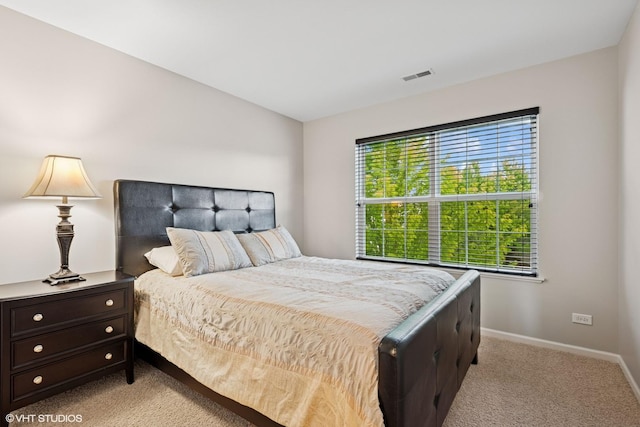 219 Cassidy Ln Unit 0, Elgin, IL 60124 - photo 12