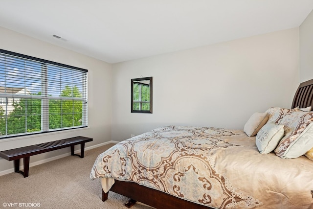 219 Cassidy Ln Unit 0, Elgin, IL 60124 - photo 13