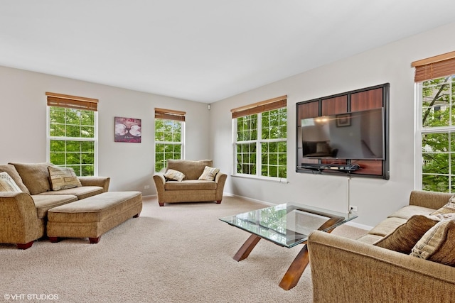 219 Cassidy Ln Unit 0, Elgin, IL 60124 - photo 4