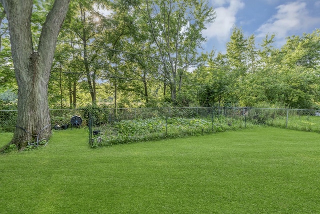 1060 Mark St, South Elgin, IL 60177 - photo 29