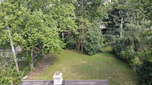 109 Walnut St, Park Forest, IL 60466 - view of grassy yard