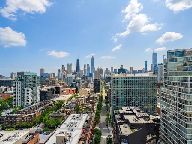 700 N Larrabee St Unit 2008, Chicago, IL 60654 - view of city skyline