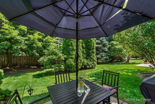 3305 Rosecroft Ln, Naperville, IL 60564 - photo 31
