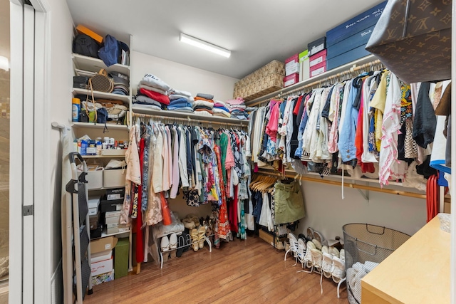 1563 Abbotsford Dr, Naperville, IL 60563 - walk in closet featuring wood finished floors