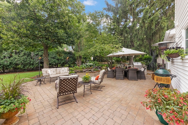 1563 Abbotsford Dr, Naperville, IL 60563 - fenced backyard featuring outdoor lounge area, a patio area, outdoor dining area, a grill, and view of scattered trees