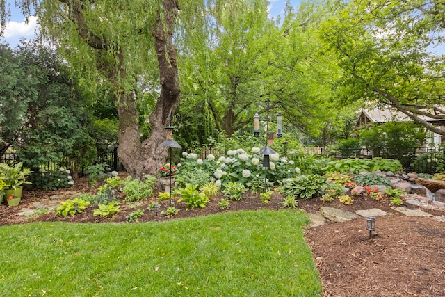 1563 Abbotsford Dr, Naperville, IL 60563 - view of yard