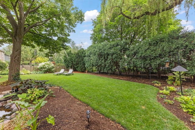 1563 Abbotsford Dr, Naperville, IL 60563 - view of yard