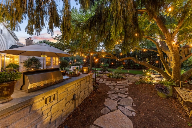 1563 Abbotsford Dr, Naperville, IL 60563 - patio terrace at dusk featuring a grill