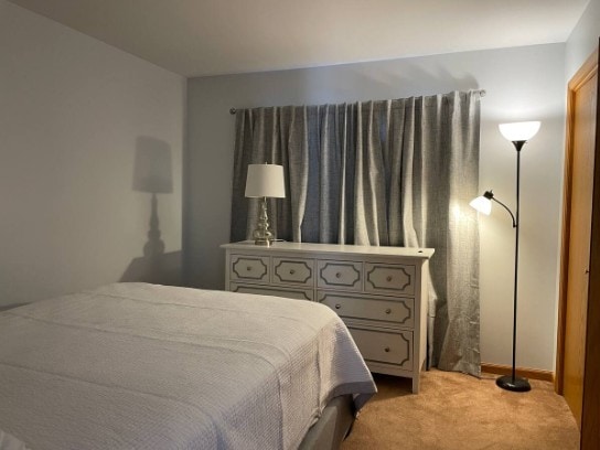 2 Spinnaker Ct, Third Lake, IL 60030 - bedroom featuring carpet floors
