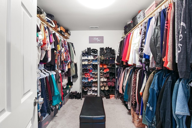 21222 Vivienne Dr, Matteson, IL 60443 - walk in closet with carpet