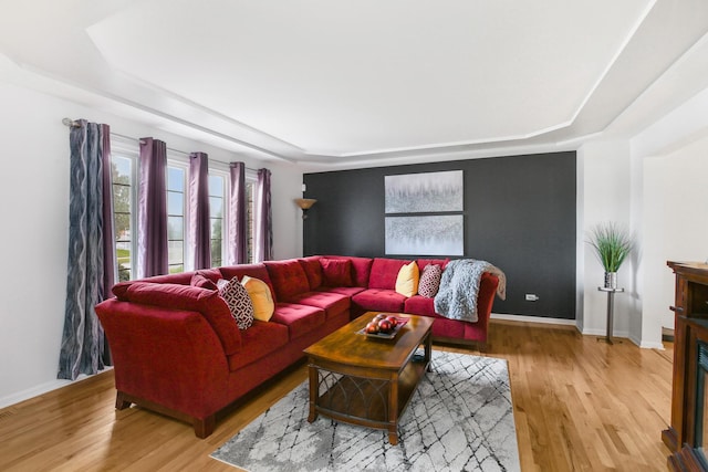21222 Vivienne Dr, Matteson, IL 60443 - living room featuring a raised ceiling and light wood finished floors