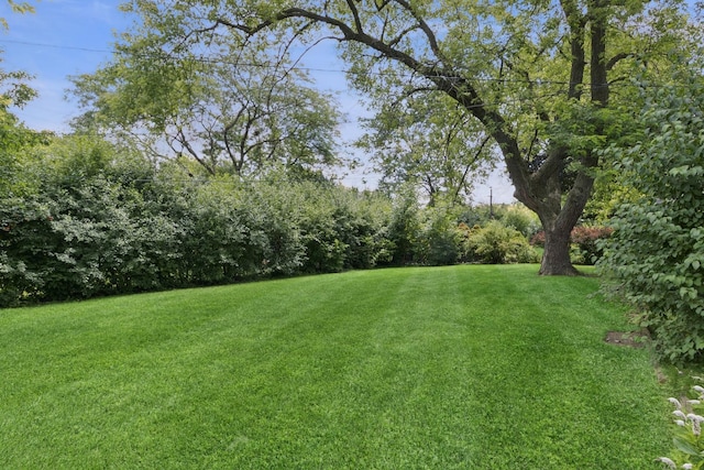 185 Princeton St, Hoffman Estates, IL 60169 - photo 13