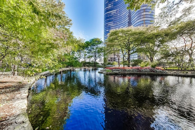 505 N Lake Shore Dr Unit 5104-5, Chicago, IL 60611 - photo 48