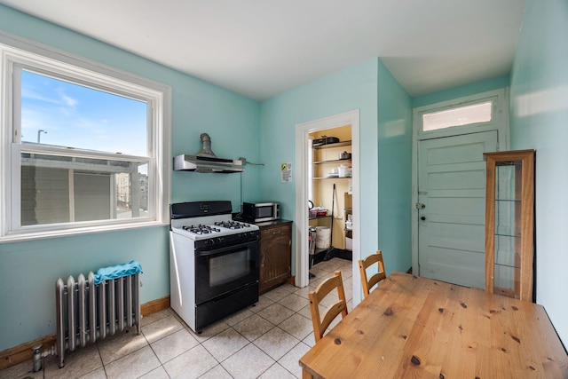 4734 N Drake Ave, Chicago, IL 60625 - photo 23