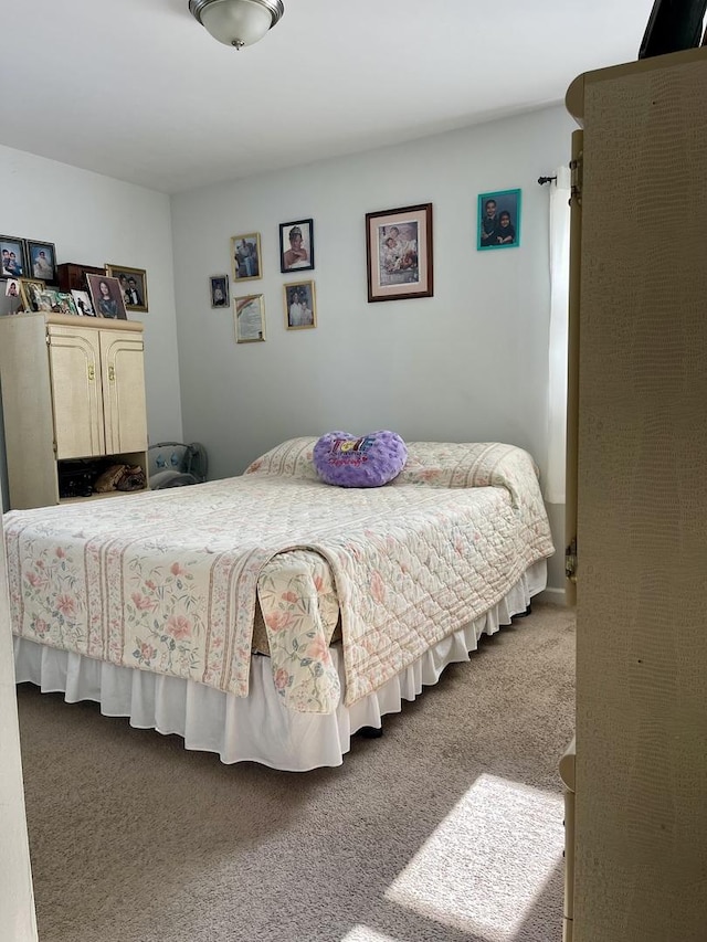 1350 N Elmwood Dr, Aurora, IL 60506 - view of carpeted bedroom