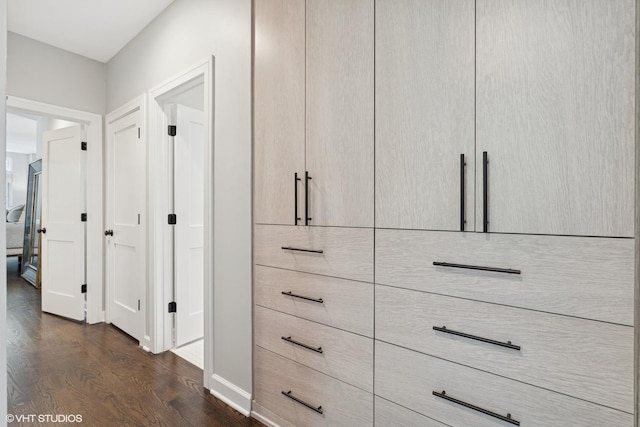 369 W Superior St Unit A, Chicago, IL 60654 - view of closet
