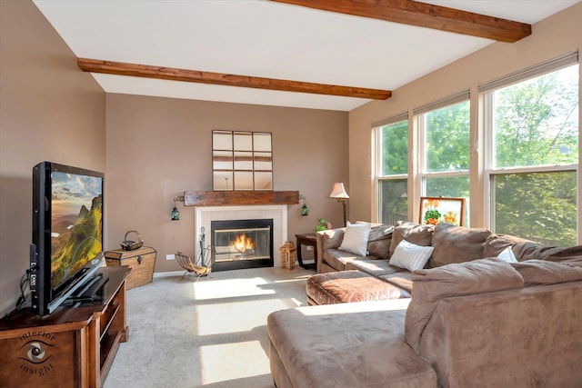 17817 S Cinnamon Ct, Lockport, IL 60441 - photo 3