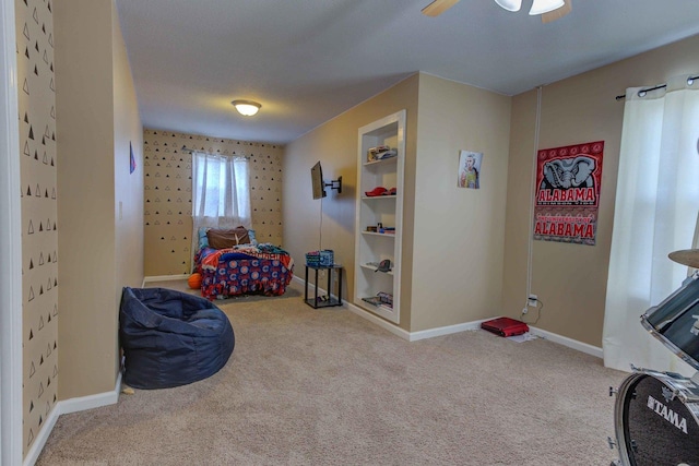 915 E Newkirk St, Tuscola, IL 61953 - photo 24