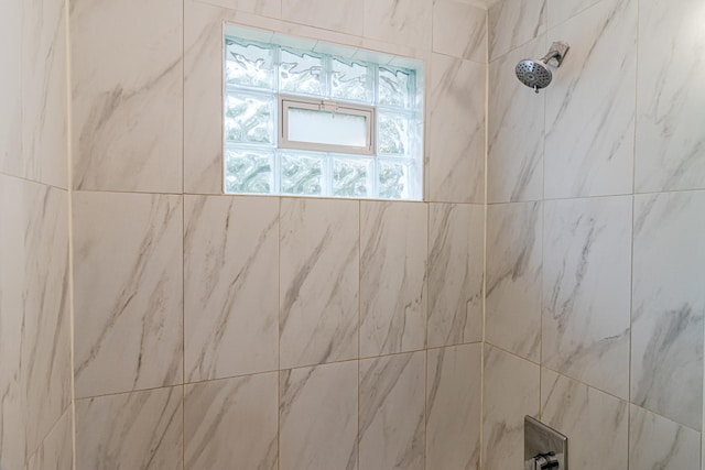 336 Manitowac St, Park Forest, IL 60466 - bathroom view of tiled shower