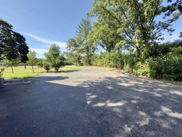 1848 E Marmion Pl, Crete, IL 60417 - photo 25