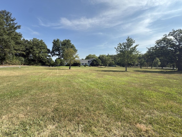 1848 E Marmion Pl, Crete, IL 60417 - photo 28