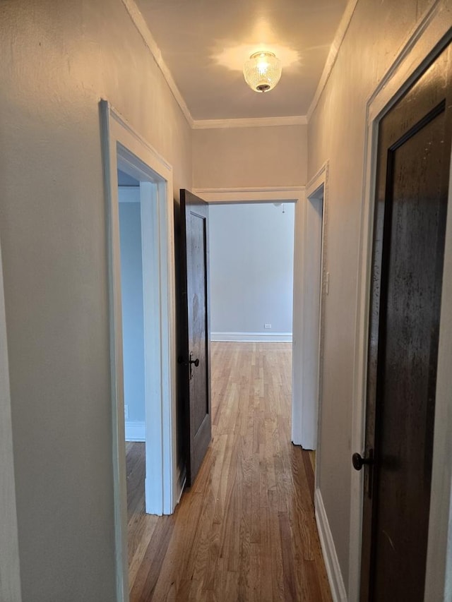 7543 S Yates Blvd, Chicago, IL 60649 - hall featuring wood finished floors and crown molding