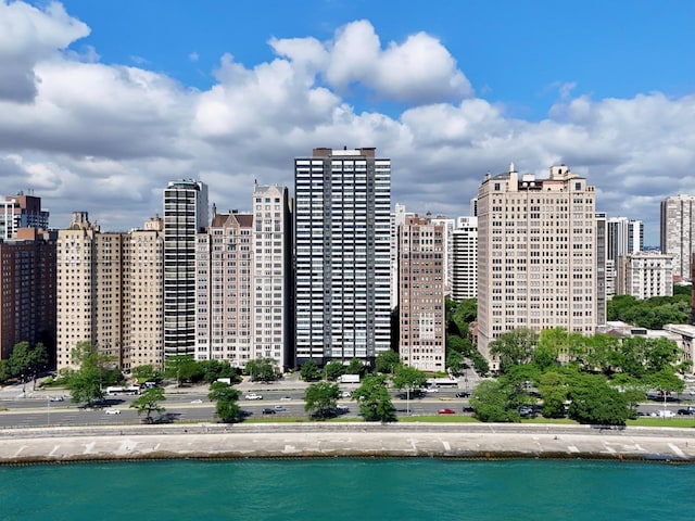 1440 N Lake Shore Dr Unit 20Ac, Chicago, IL 60610 - photo 1