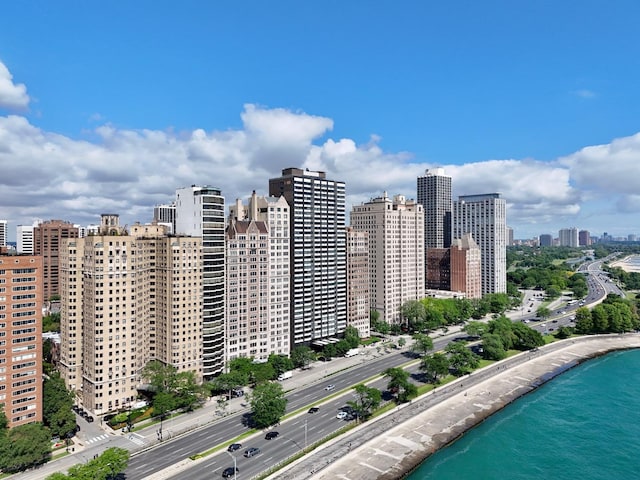 1440 N Lake Shore Dr Unit 20Ac, Chicago, IL 60610 - photo 37