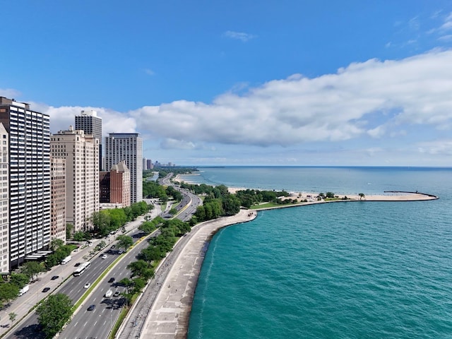 1440 N Lake Shore Dr Unit 20Ac, Chicago, IL 60610 - photo 38