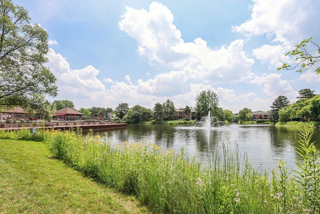 7 The Court Of Muirwood, Northbrook, IL 60062 - photo 31