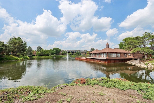 7 The Court Of Muirwood, Northbrook, IL 60062 - photo 32