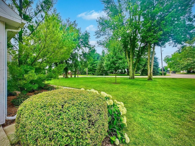 289 Edwards Ave, Lasalle, IL 61301 - photo 2